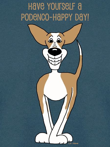 Podenco Smile
