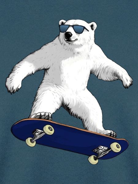 Skateboarder Eisbär