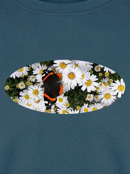 Red Admiral Butterfly auf Asters
