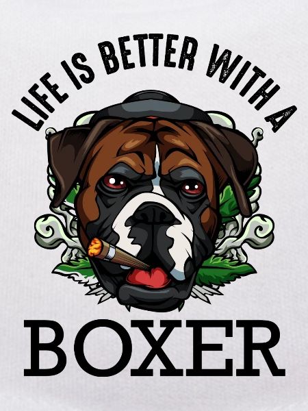 boxeur
