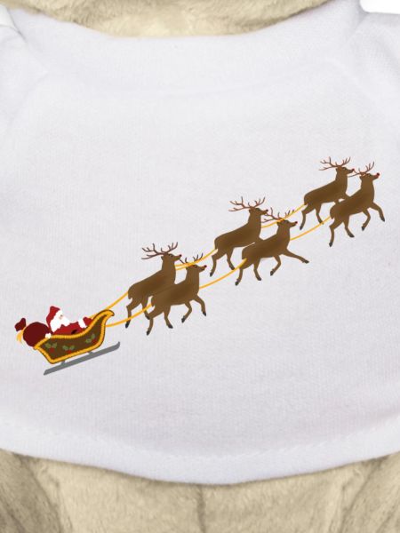 Weihnachtsschlitten