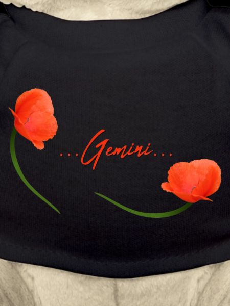 Zwillinge Mohn Klatschmohn Sternzeichen Zwillinge