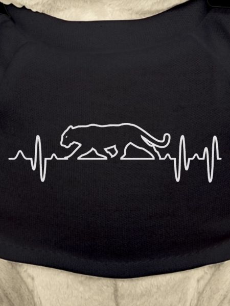 Panther