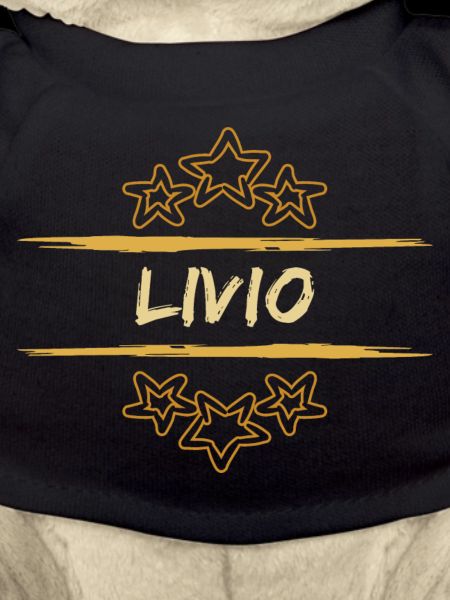 Geburtsname Livio