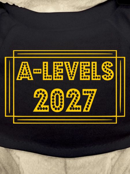 A-Levels 2027 UK