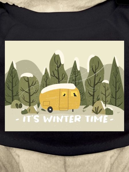 Retro Wohnmobil Winter Ready