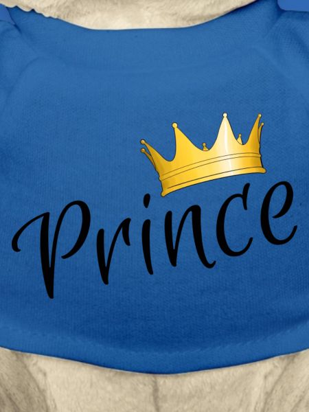 Prince - Prinz mit goldener Krone