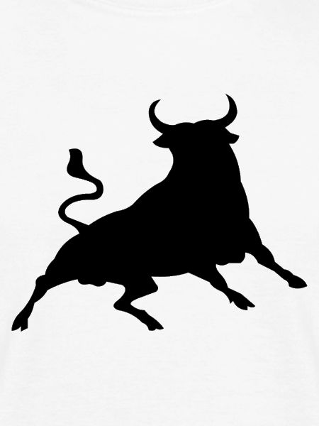 Stier