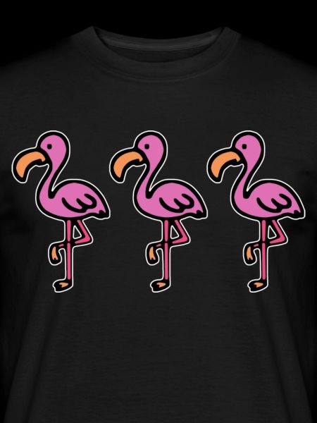 Flamingos