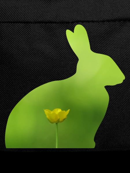 Hase