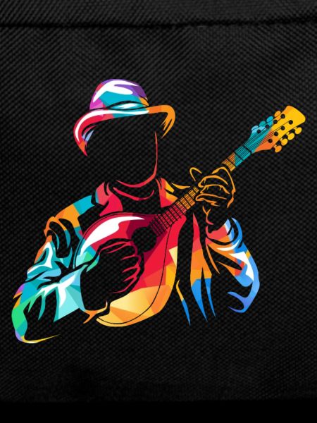 Flinker Mandolinist Zupforchester
