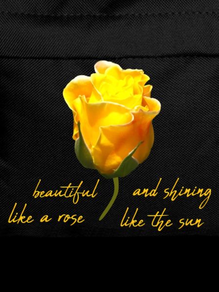 beautiful rose