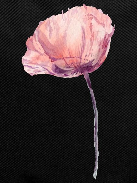 Blume