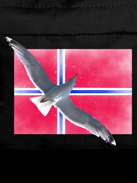 Norwegen Norge