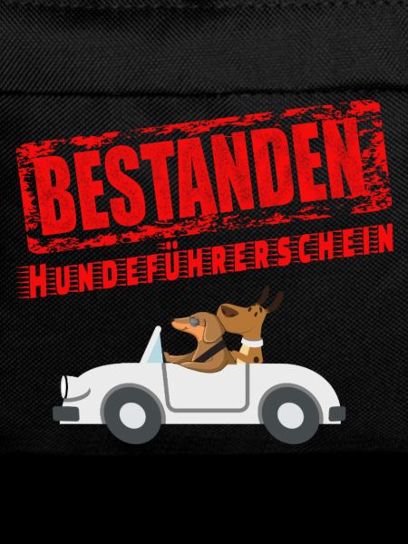 Hundeführerschein bestanden