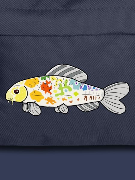 Koi-BogenBunter Spritzer