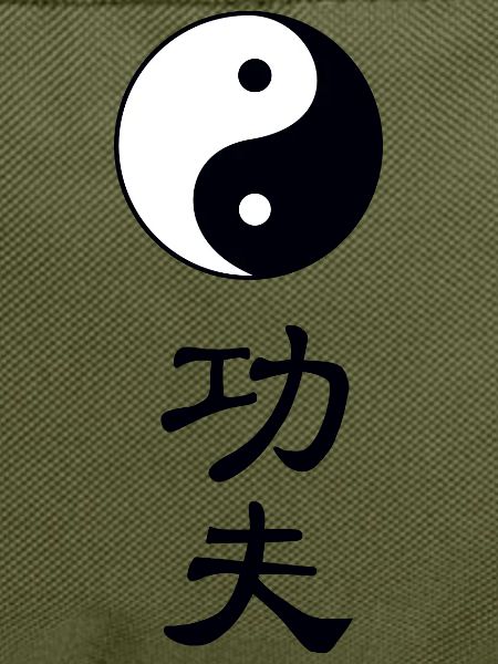 tao kung fu