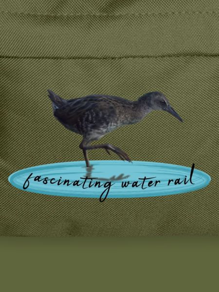 water rail