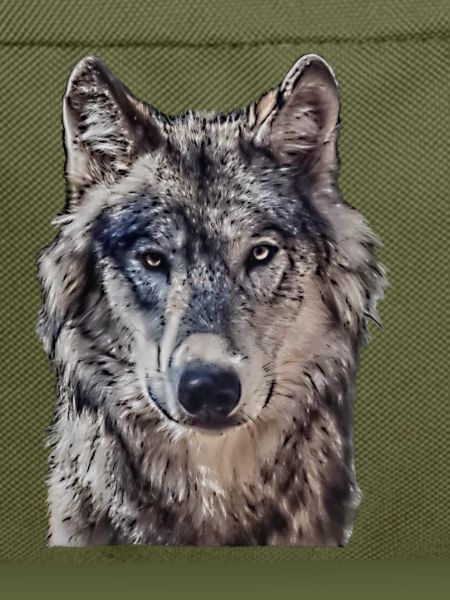 Wolfkopf von vorne