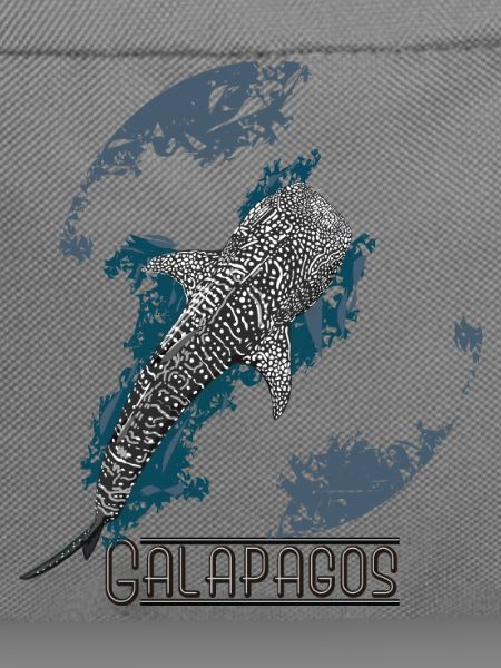 Walhai der Galapagos-Inseln