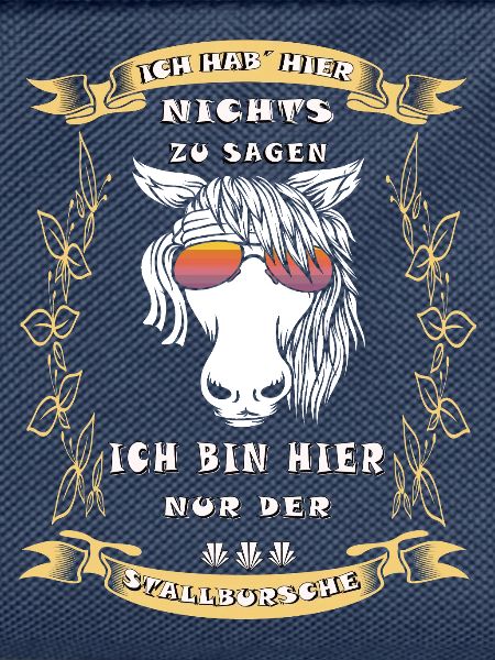  Stallbursche Pferd Tiere Stall Pony 