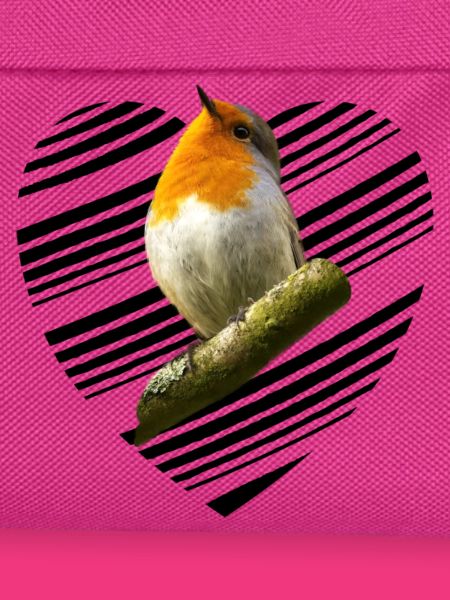 Rotkehlchen robin Erithacus rubecula