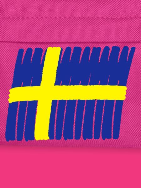 Sweden flag paint