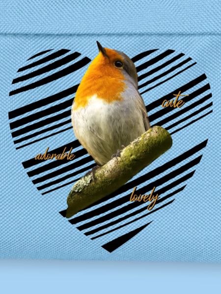 Rotkehlchen Singvogel