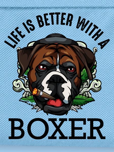 Boxer