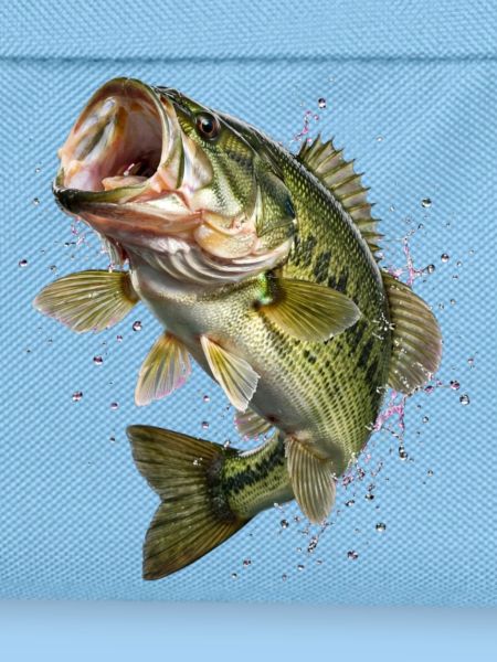 Fisch, Angeln, Fischer