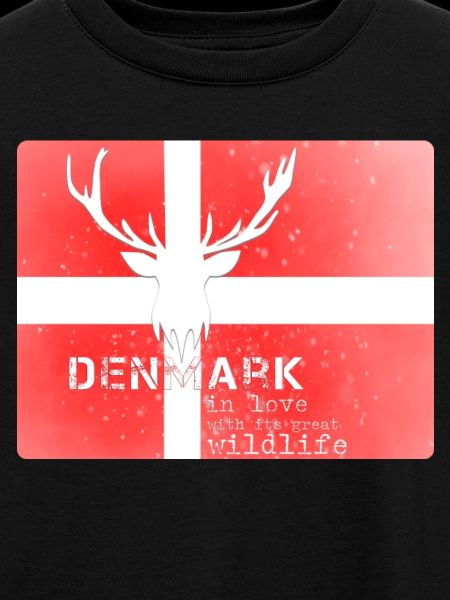 Dämark Wildtiere Denmark wildlife