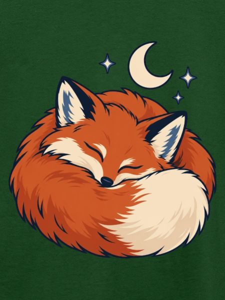 Schlafender Fuchs Sternennacht