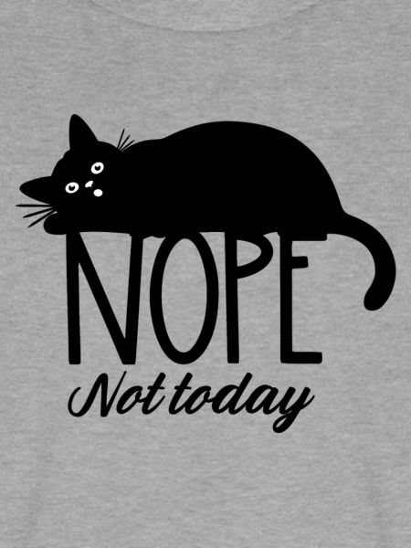 Nope not today cat 