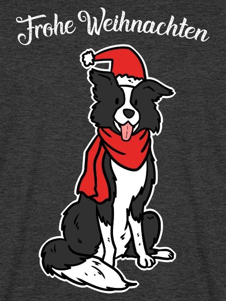 Flitzender Border Collie Weihnachtsmann