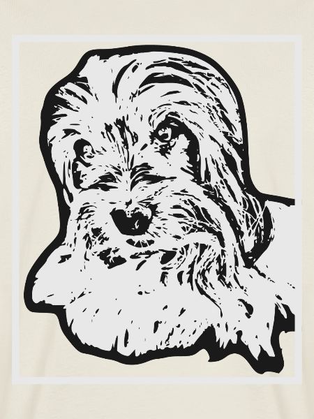Biewer Terrier Hundeportrait Zeichnung