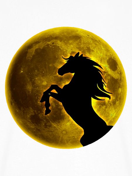 Vollmond Pferd