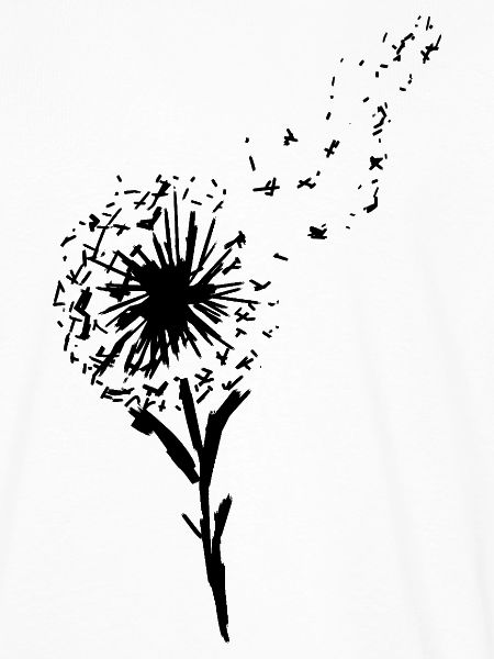 Pusteblume Löwenzahn mit fliegenden Samen