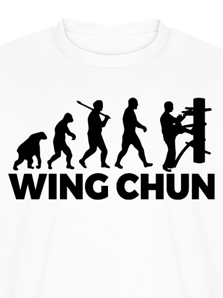 Wing Chun-Entwicklung