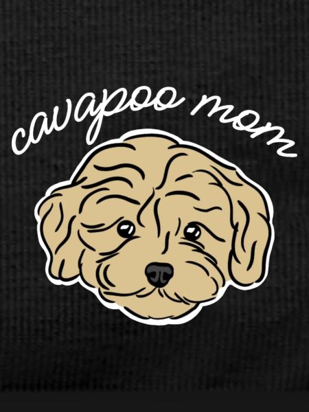 cavapoo mom