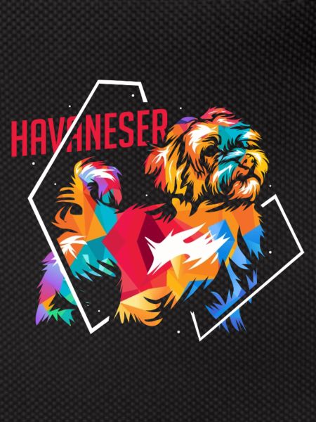Flauschiger Havaneser Schoßhund