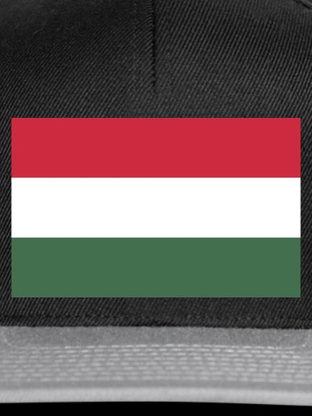 Ungarn Flagge