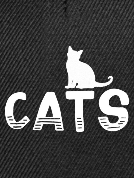 Katze Katzen - Cats