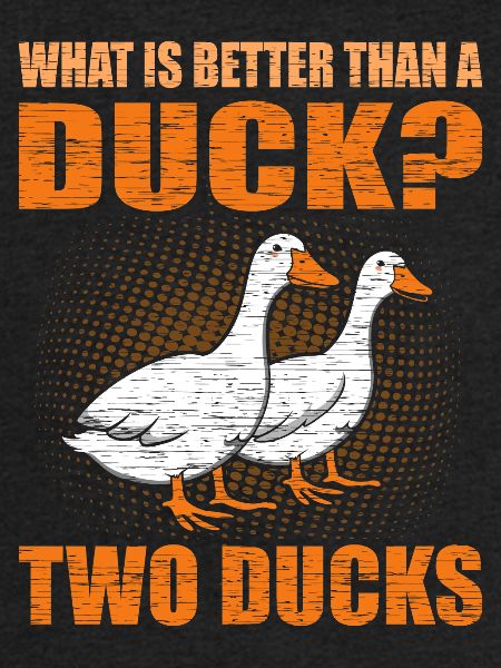 Ducks
