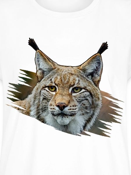 Luchs