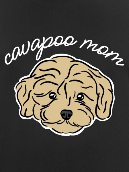 cavapoo mom