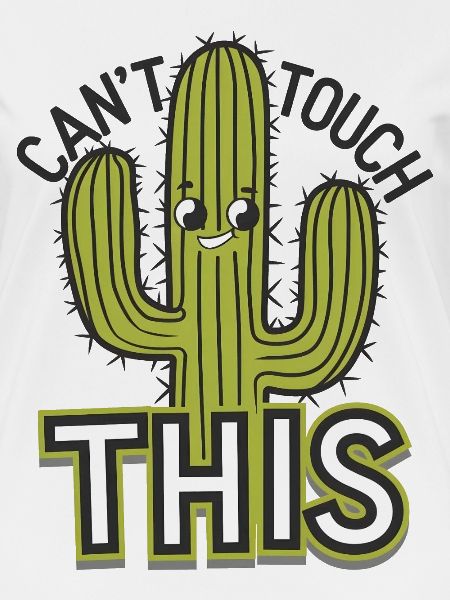 Can't Touch This
