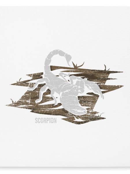 Gefährlicher Skorpion Wüstenjäger