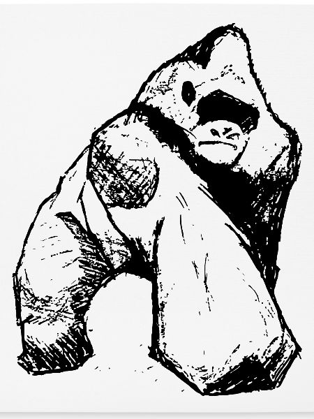 Gorilla & Silberrücken