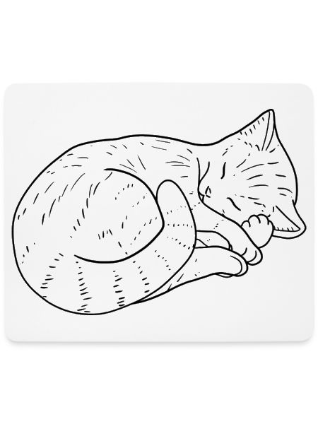 Katze Zeichnung