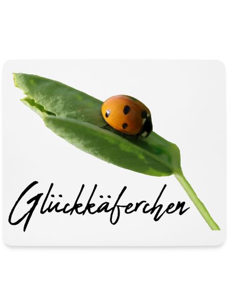 Glückskäferchen Marienkäfer Glücksbringer